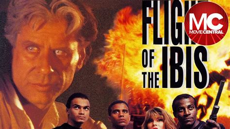  The Flight of the Ibis: A Symphony of Gold and Crimson